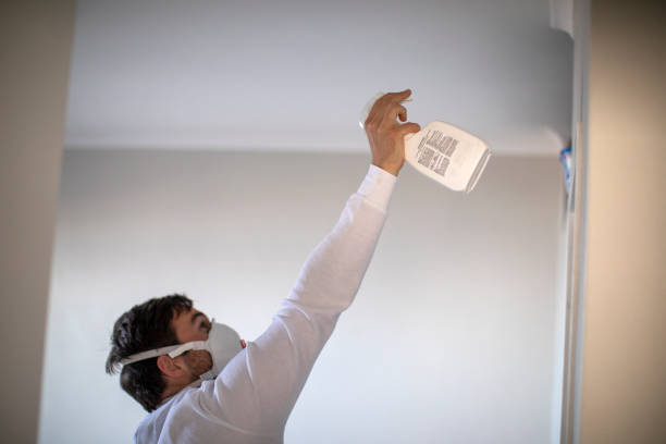 Best Best Mold Removal Companies  in Donna, TX