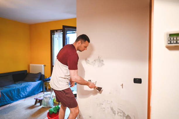 Best Same-Day Mold Removal  in Donna, TX